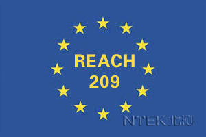 REACH 209項