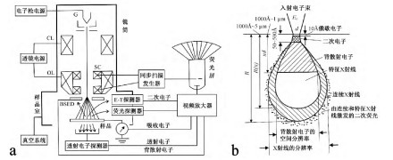 掃描電子顯微鏡原理