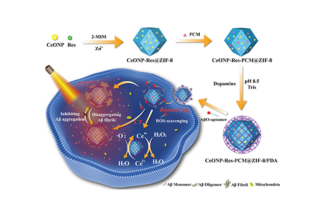 CeONP-Res-PCM@ZIF-8/PDA 的制備及其在 AβO 傳感和治療中的應用示意圖