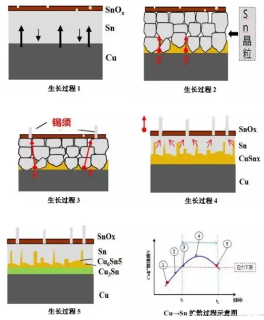 錫須試驗過程